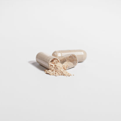 Lion’s Mane Mushroom Capsules